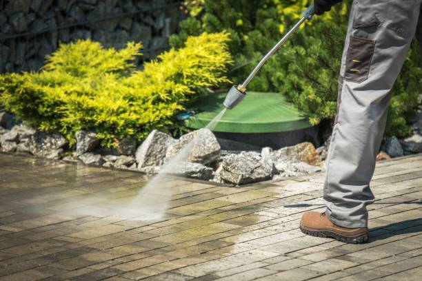 Best Roof Washing  in Auburn, KS